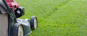 Read more about the article The history of Lawn mower