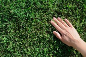 Read more about the article Embracing Eco-Friendly Solutions: Exploring Green Alternative Lawn Care Equipment