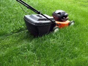 Read more about the article Where is the Lawn Mower Near Me?